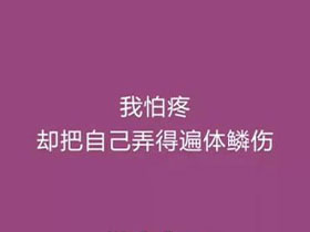 60万果粉评价！iPhone 14系列口碑下滑。