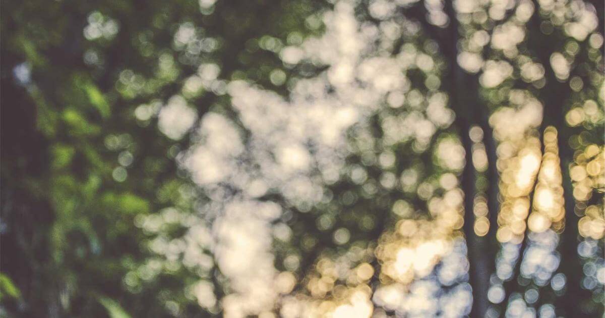 姐姐教弟弟打架,我看了半天没吭声